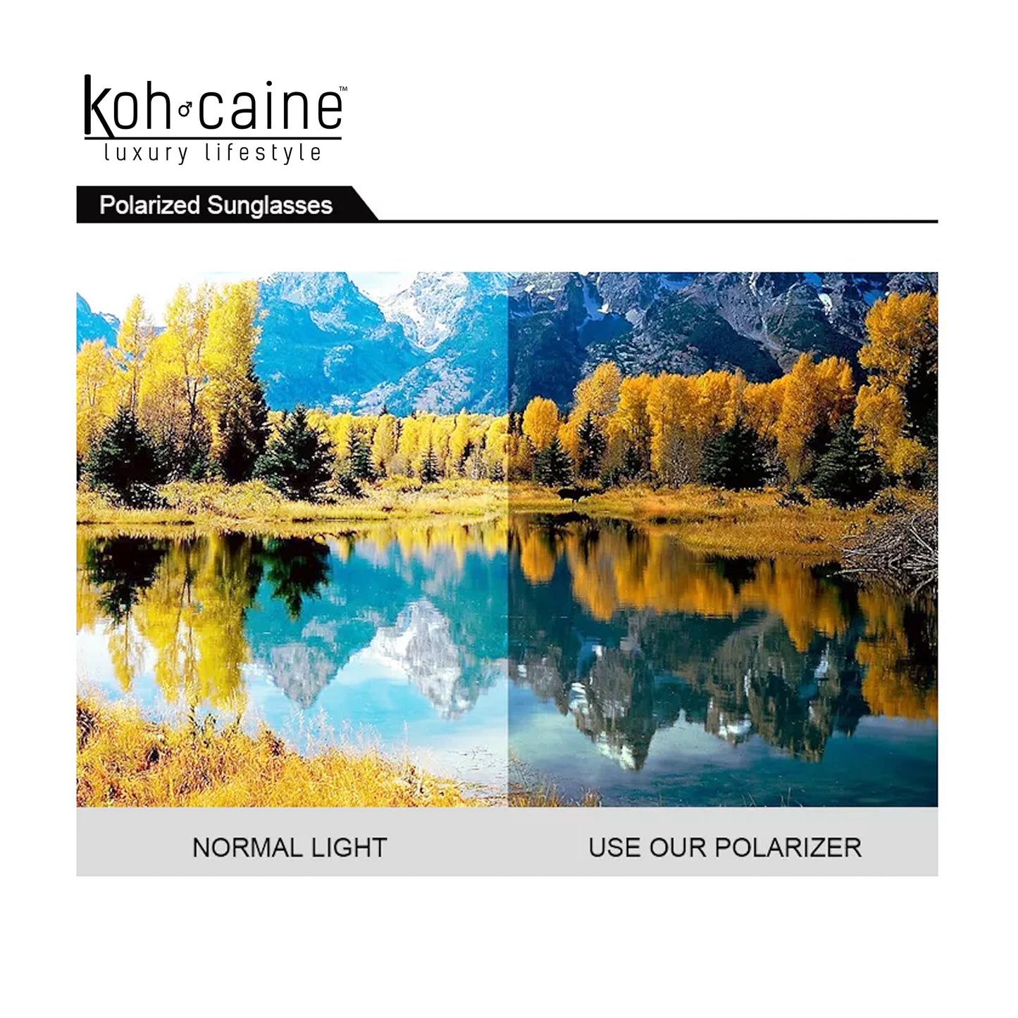 Kohcaine Sunglasses - Madera